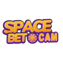 what is candidate mode in sudoku
